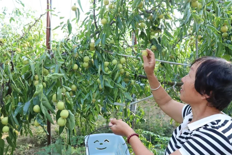 1759997409193666.jpg 未命名_副本.jpg