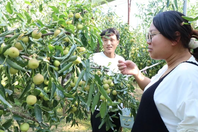 1759997473858464.jpg 未命名_副本1.jpg