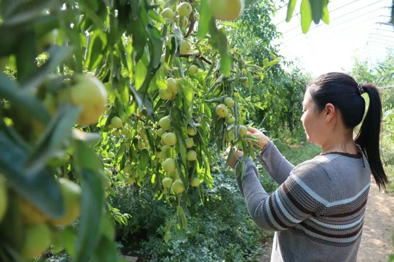 1759997494951716.jpg 未命名_副本2.jpg